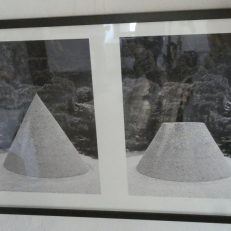 P1920569