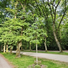 MVIMG_20250515_185508