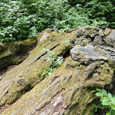 MVIMG_20250515_185521