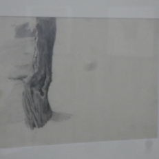 P1890170