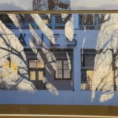 P1880712