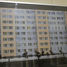 P1880723