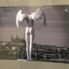 P1880727