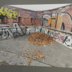 P1880743