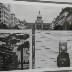 P1880750