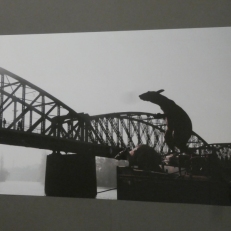 P1880756