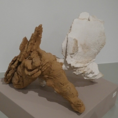 P2090194