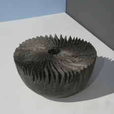 P2090230