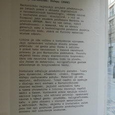 P2090738
