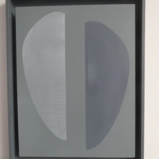 P2060491