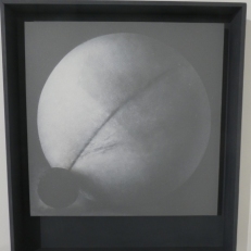P2060497