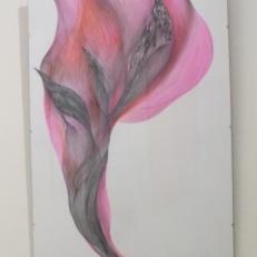 DSCF8864