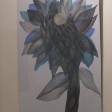 DSCF8876