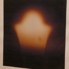 P1900247