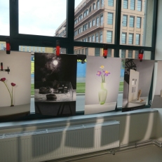 P1920281