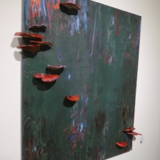 P1920304