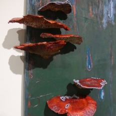 P1920305
