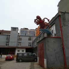 P1000717