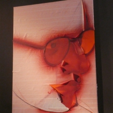 P2070041