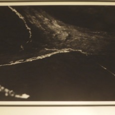 P1490073