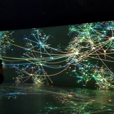 IMG_20250930_110428969