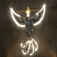 P1950206