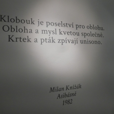 P2120377