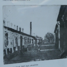 P1030555