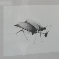 P1030602