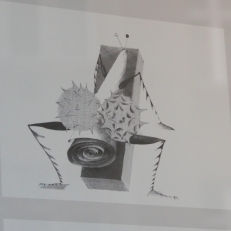 P1030604