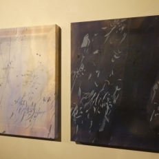P1940262