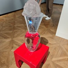 IMG_20260812_180238