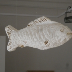 P1920494