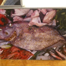 P1920503