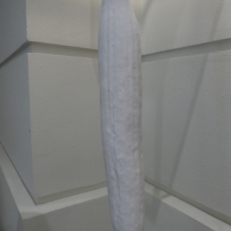 P2090100
