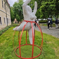MVIMG_20250522_111319