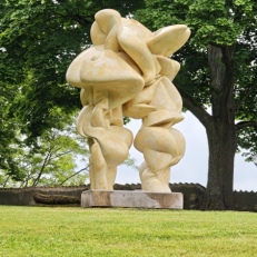 MVIMG_20250522_114521