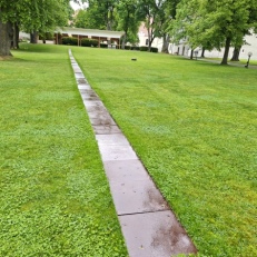 MVIMG_20250522_114718
