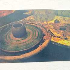 IMG-20250624-WA0012