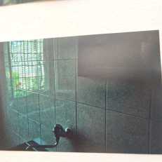 IMG-20250624-WA0020