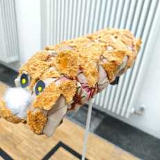 IMG-20250624-WA0025