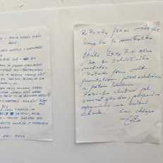 IMG-20250624-WA0040