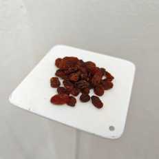 IMG-20250624-WA0041