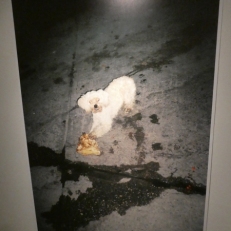 P1880955