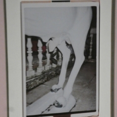 P1880958
