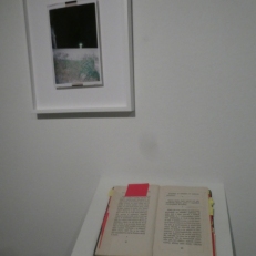 P1880959