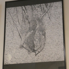 P2060761