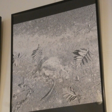 P2060762