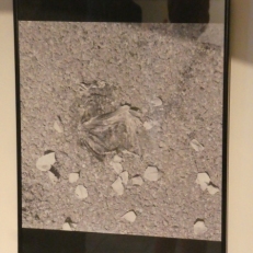 P2060763