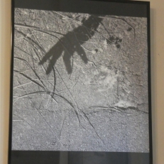 P2060764
